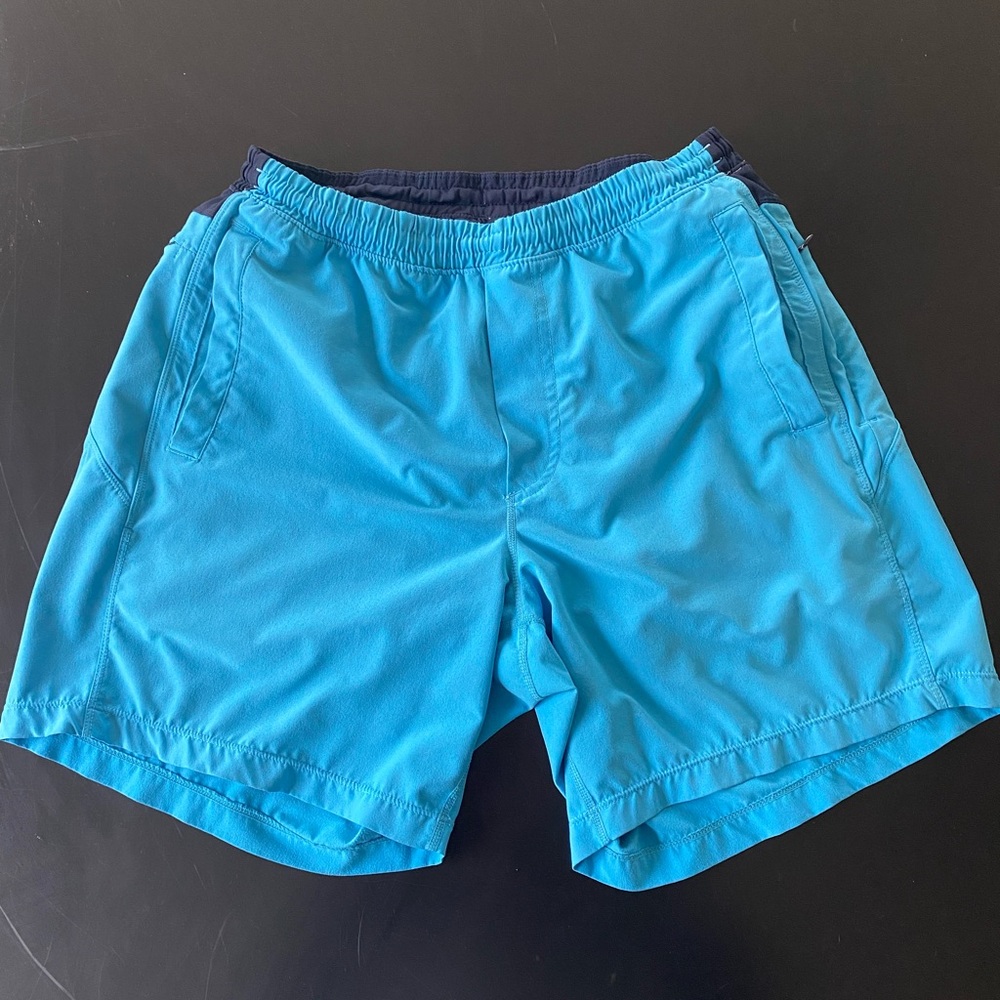 Birddogs Blue Mens Shorts Large
